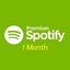 1 MONTH Spotify Individual Premium Account