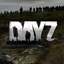 DayZ Standard Edition STEAM - GLOBAL