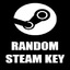 ⭐️ Steam 199$ - 250$ Random Key