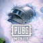 Pubg 60 UC Stockable Pin (Global)