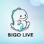 Bigo Live ♥️ 10$ 460 diamond PIN ( Stockable)