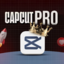 Capcut Pro 1 Year