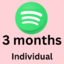 Spotify Premium Individual 3 Month