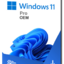 Windows 11 Pro Key License 100% Online Activa