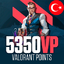 VALORANT 5350 VP TURKEY (TRY) STOCKABLE