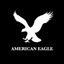 American Eagle 15 USD | USA