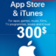 Itunes gift card 300 usd