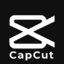 (24Month) Capcut Pro Account _2 device access