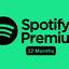 Spotify Bulk Order (12 month ) / 10 pcs