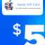 $5 iTunes Gift Card (Stockable)