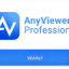 AnyViewer Professional Yearly (Global)