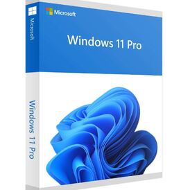 Microsoft Windows 11 Pro