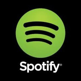 Spotify Premium Individual for 12 month