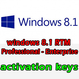 windows 8.1 RTM Professional;Enterprise