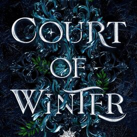 Court of Winter Fae Fantasy Romance