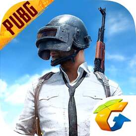 PUBG Mobile 325 UC PIN (Global) Stockable