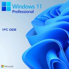 🔑 Original Windows 10/11 Pro PRIVATE Key 1PC