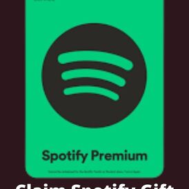 Spotify premium 12m