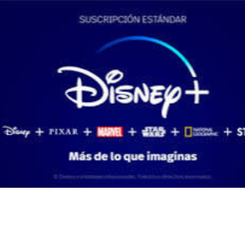 Disney + subscription 12month account