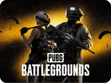 PLAYERUNKNOWN'S BATTLEGROUNDS aka PUBG