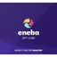 50 EUR Eneba Giftcard | Global & Storable