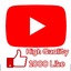 YouTube 1000 Like High Quality / Guarantee