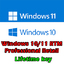 Windows 10/11 RTM Professional Retail