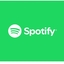 Spotify 12 Month gift card  INDIA