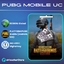 PUBG Mobile 12000 + 4200 UC Key GLOBAL