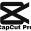 CapCut Pro Premium - 12 Months