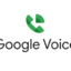 Google Voice