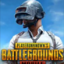 PUBG MOBILE 325 UC PUBG 325 UC - GLOBAL PIN