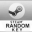 Steam Random Key