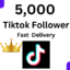 5000 Tiktok follower Real Follower None Drop