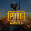 Pubg mobile 8100 uc ( via account )