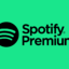 Spotify India -3 Months Gift card