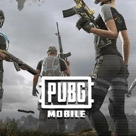 PUBG Mobile 300 + 25 UC-Global Pin Code