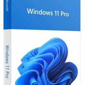 Microsoft Windows 11 Pro