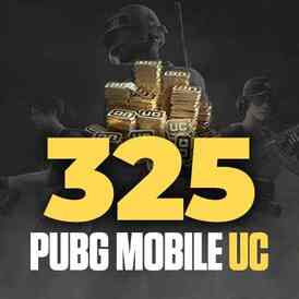 Pubg 325 uc global pin