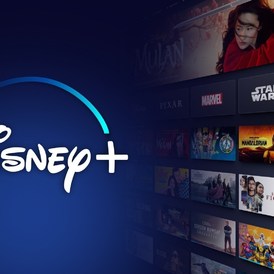 DISNEY PLUS MEMBERSHIP(1YEAR)