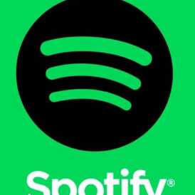 Spotify 12 month 50 pcs bulk