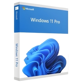 Windows 11 Pro OEM Key