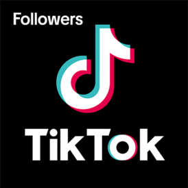 TikTok 1000 Followers Global