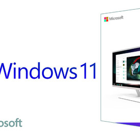 Microsoft Windows 11 Pro (license key)