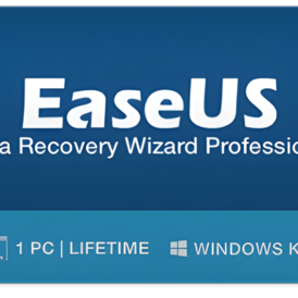 EaseUS Data Recovery Wizard Pro 1 PC Lifetime