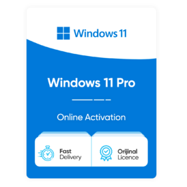 OEM Windows 11 Pro (Online Activation)