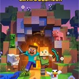 full Minecraft Java & Bedrock Edition account