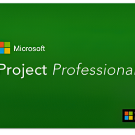 Microsoft Project 2019 Professional