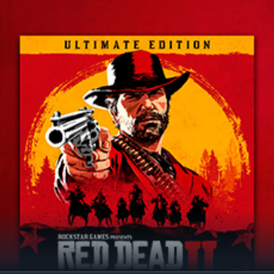 Red Dead Redemption 2  Standard  Account