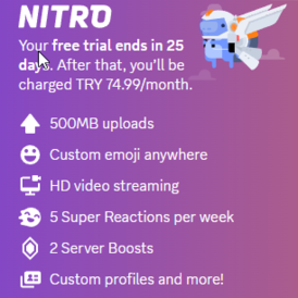 Discord Yearly Nitro GIFT